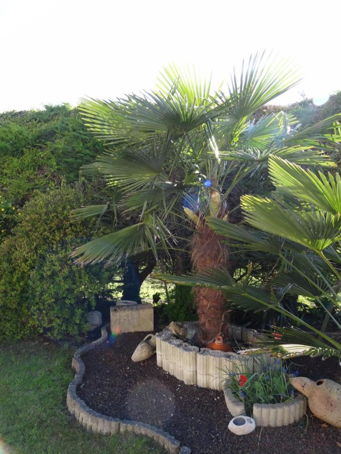 Chambre Studio Avec Kichenette Soleil De Nacre Hermanville-sur-Mer Εξωτερικό φωτογραφία